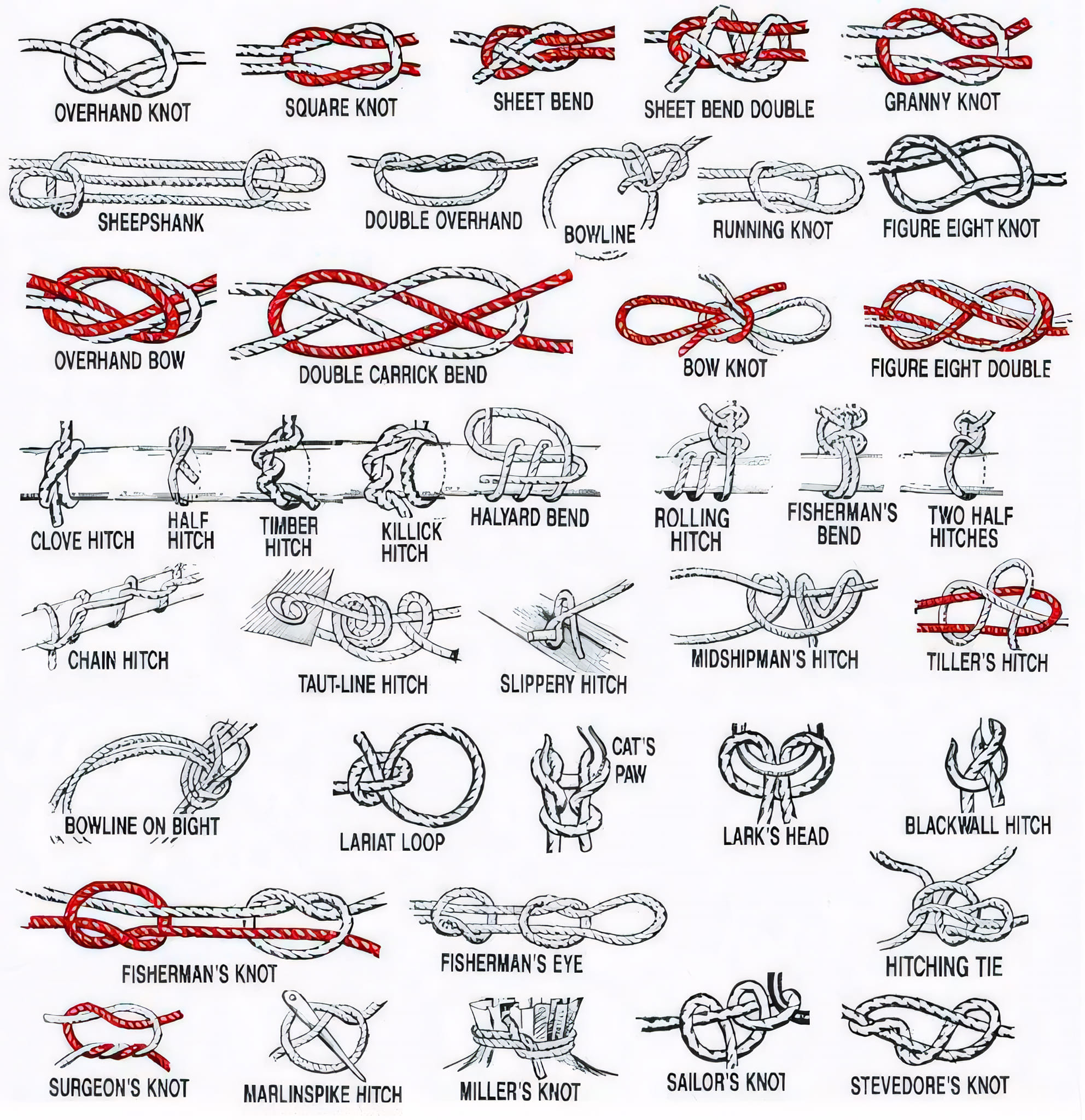 Knots